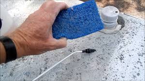 Mold growth in general is a type of fungi that produce long tube‐like structures called hyphae. Rv Detailing Tips How To Clean The Roof On Your Rv Youtube