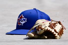 Blue jays are definitely bullies at the feeder, and the only thing that might chase them away is a squirrel or chipmunk. L4lsk4s9gcxuwm