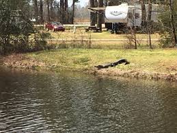 Oak plantation campground in charleston, south carolina: Oak Plantation Campground Charleston South Carolina Us Parkadvisor