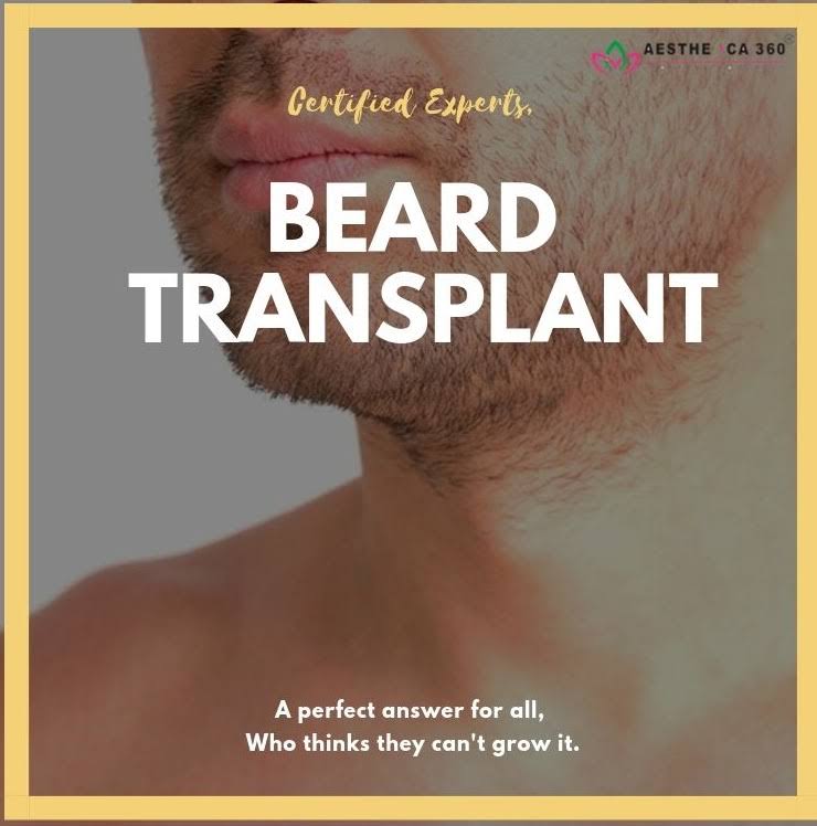 Beard Transplant product image