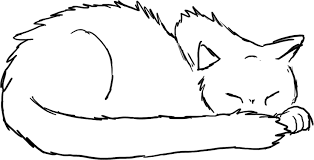 Sleeping Cat Drawing Clipart Best Cat Face Drawing Cat Drawing Drawings