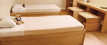 Blockhouse Is Perfect For Behavioral Health Environments Just Look At This Cozy Psych Safe Room Blockhouseusa C Contract Furniture Bed Furniture Safe Room