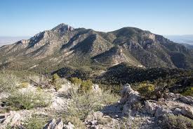 We did not find results for: Hiking Zion View Peak In Beaver Dam Wash National Conservation Area Utah