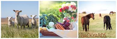 A social network and blog for urban homesteads, backyard city farms and rural ranchers and farmers see more of barnyards and backyards on facebook. Barnyards Backyards Rural Living In Wyoming Home Facebook