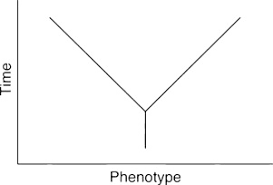 New Species An Overview Sciencedirect Topics
