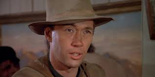 32 Years Before Kill Bill: Volume 2, David Carradine Starred in This  Genre-Bending TV Western