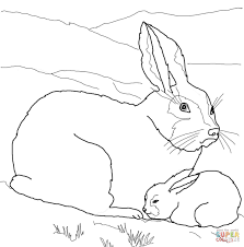 Maybe you would like to learn more about one of these? Mom And Baby Animal Coloring Pages Novocom Top