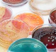 Preservatives & Preservation Supplier & Distributor | Univar ...