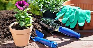 Check spelling or type a new query. All You Need To Know About Earthworm Castings