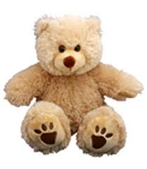 Black Bear Stuffed Animal Names Singing Stuffed Animal With Your Child S Name In The Songs Musicteddy Bear Talking Teddy Bear Teddy Bear Stuffed Animal Diy Teddy Bear