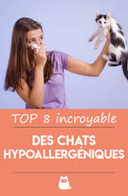 Top 8 Incroyable Des Chats Hypoallergeniques Chat Siberien Chat Balinais Chat