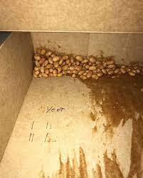 Thinking About Those Beans Beans Quality Memes Fresh Memes