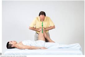 Image result for Pelvic Compression Test