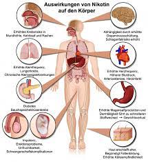 Nikotin Gesundheits Ratgeber Lexikon Gesundpedia De
