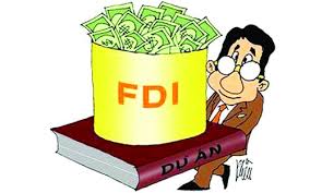 Image result for foreign direct investment