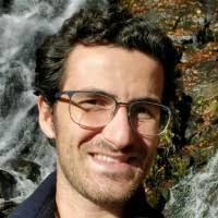 70+ "Tornese" profiles