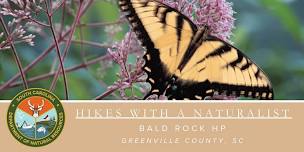 Hikes with a Naturalist - Bald Rock Heritage Preserve
