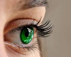 All eyes and people are beautiful! Green Eye Color Is Rare But Found Around The World Belleville News Democrat