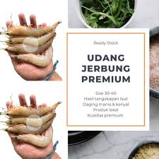 Walaupun udang sudah sangat dikenal masyarakat luas dan seringkali dijadikan sebagai masakan yang enak. Udang Jerbung Udang Laut Size 30 40 1kg Termurah Jabodetabek Shopee Indonesia