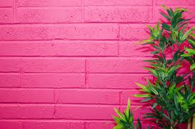 Fuchsia is often described as reddish purple or purplish red and is very similar to magenta. What Color Is Fuchsia Symbolism And Usage In Design