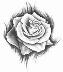 Disegni a matita facili cerca con google idee per disegnare. 36 Top Disegni A Matita Tumblr Facili Occhi Fiori Disegnati A Matita Disegni Di Rose Disegni A Matita