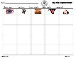 Five Senses Sorting Chart Activity Senses Preschool Five