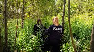 Rypin. Tajemnicze zaginięcie Jowity Zielińskiej. Teściowa: Ludzie  przychodzą obserwować nasz dom