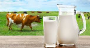 Крем для лица fondant donkey milk perfect repair cream. Why You Should Not Drink Cow S Milk