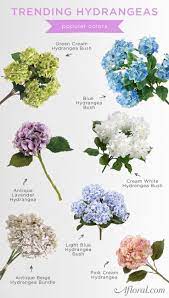 Hydrangeas Are Trending This Wedding Season Shop Afloral Com For Flowers That Last Diy Flow Hydrangea Flower Artificial Flowers Artificial Hydrangea Flowers