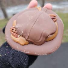 TOP 10 BEST Over the Bar Bicycle Cafe in Pittsburgh, PA