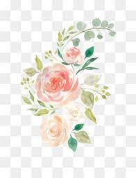 Flowers Png Flowers Transparent Clipart Free Download Lavender Flower Purple Wisteria Painted Lav Flor Aquarela Desenhos De Flores Flores Em Tons Pasteis