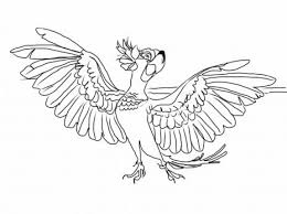 Find thousands of coloring pages in the coloring library. Monaicyn Kitchen Ideas Printable Rio Coloring Pages