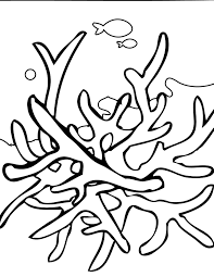 Coloring for girls and boys. Ocean Coral Reef Coloring Pages Novocom Top
