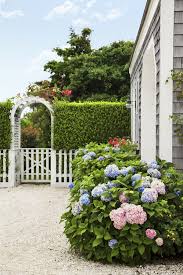 A Nantucket Cottage Garden Finds Its Sweet Spot Front Yard Garden Design Nantucket Cottage Cottage Garden