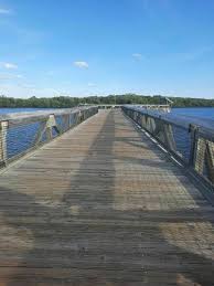 Maybe you would like to learn more about one of these? Best Trails In John D Macarthur Beach State Park Florida Alltrails