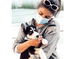 People in isolation, looking for animal companionship, are adopting dogs. More People Are Adopting Furry Companions Amid The Pandemic Times Of India