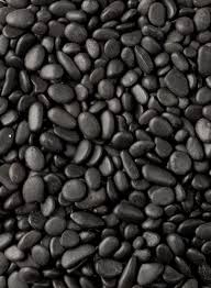 Polished Black Gravel Landscaping With Rocks Rock Garden Design Backyard Landscaping