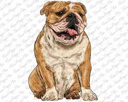 Pin On Animal Clipart
