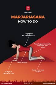 Marjariasana Cat Stretch Steps Benefits Precautions In 2020 Learn Yoga Poses Learn Yoga Easy Yoga Workouts