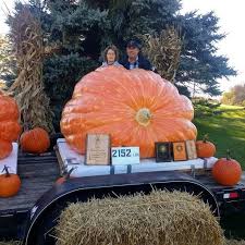 Image result for giant pumpkin