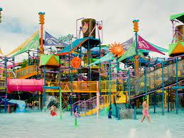 There are countless options when it comes to florida's beautiful white sand beaches and amazing state parks full of greenery and wildlife. 13 Best Water Parks In Florida To Visit Right Now