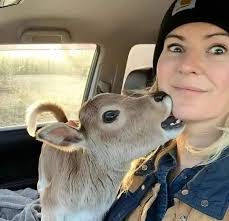 What should I name my cow?