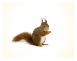 From the latest financial highlights, bt global technology sdn bhd reported a net sales revenue drop of 5.29% in 2019. Bt Science Research Supplier Products In Malaysia Products