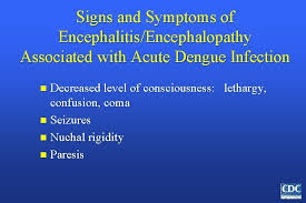 Absence of dengue hemorrhagic fever despite hyperendemic dengue virus transmission. Pathophysiology Of Dengue Fever Dengue Illness In Children Rose W Jacob J E Adhikari Dd Verghese Vp Curr Med Issues Dengue Fever What You Need To Know Including Pathophysiology