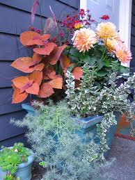 We did not find results for: Pacific Northwest Gardener What To Do In July