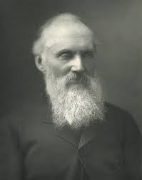 SATURDAY, JULY 6, 2024 PAGE 4 PAGE 5 PAGE 9