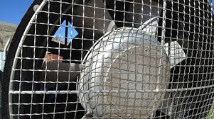 Everybody else sold it in 25 foot lengths, some for more $$ than i paid for the 50 foot roll with delivery! Woven Wire Mesh Products Industrial Woven Wire Marco