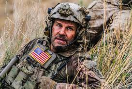 Fun New Animation Celebrates The Seals And Seal Island Of Cape Town