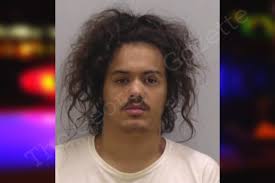 Walter Henriquez — Bartow County Jail Bookings