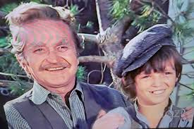 Did Mr. Hanson have a son in Little House